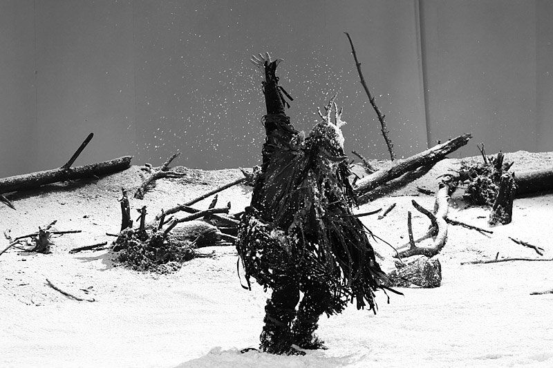 *** фото превью