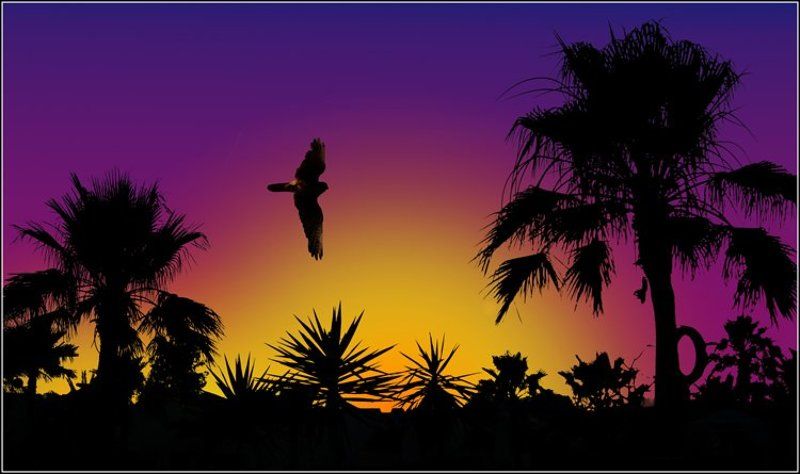 африка, крокодилы, бегемоты, обезьяны, кашалоты, :))) Африканские сказки... фото превью