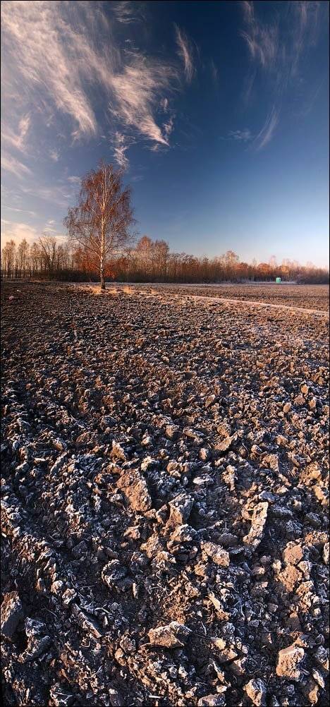 , Алексей Строганов