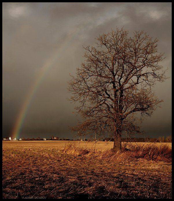 , Владимир Скляров