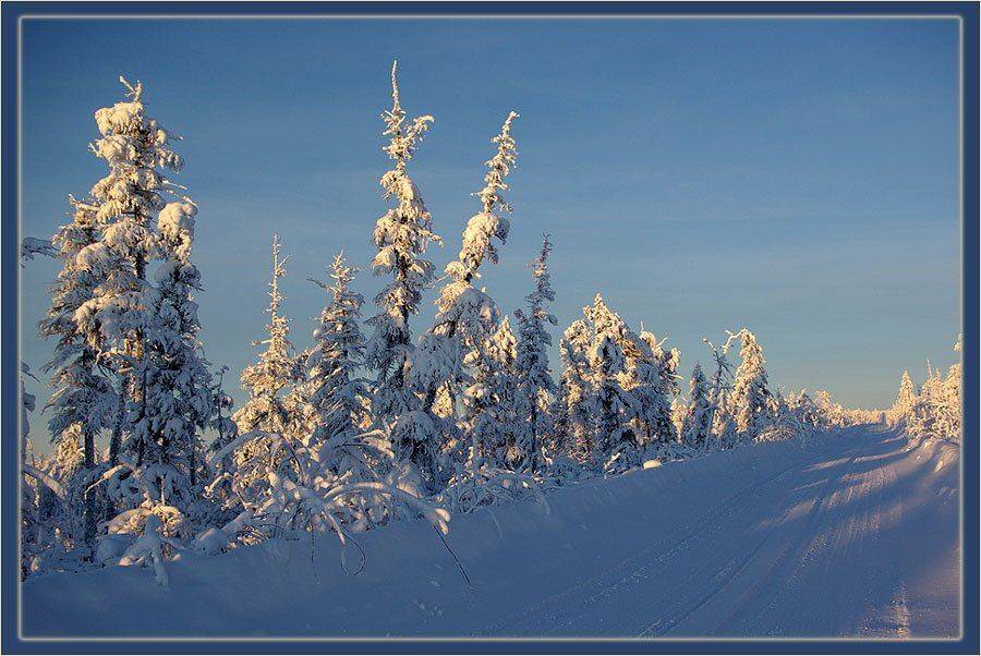 зима,дорога,мороз,якутия, Солодухин Виктор