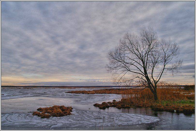 залив, декабрь, зима. лёд., Григорий Иващенко