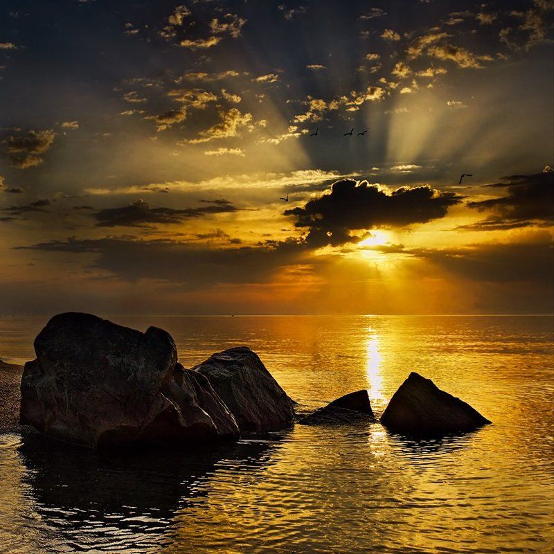 В золоте рассвета фото превью