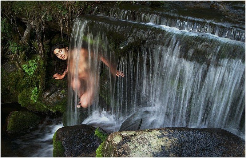 таежный ручей фото превью