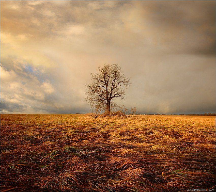 , Владимир Скляров