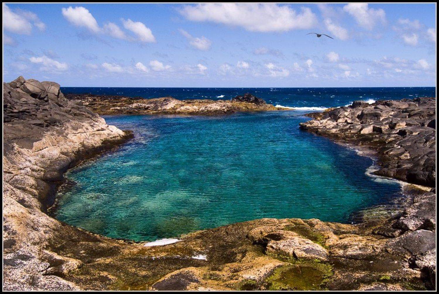 испания,канарские острова,лансароте, Александр Константинов