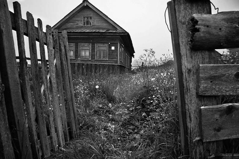 поморская, серия, светлана, глушко * фото превью