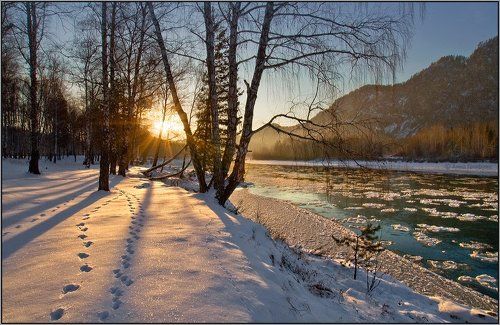 Сладкий ноябрь