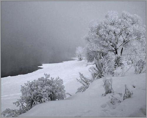 Морозное утро...