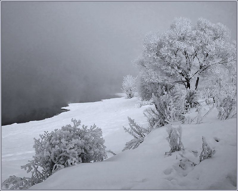 Морозное утро... фото превью