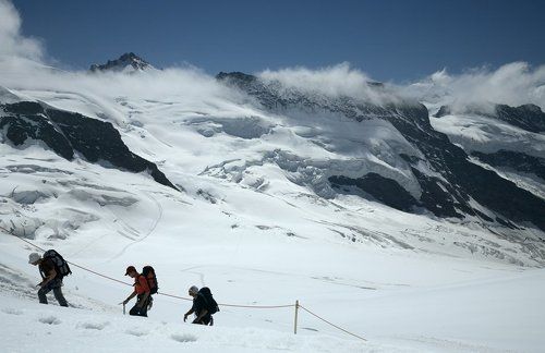 Альпийская №4