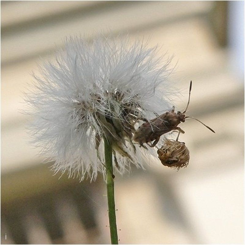 «так-так-так... главное не уронить!» фото превью