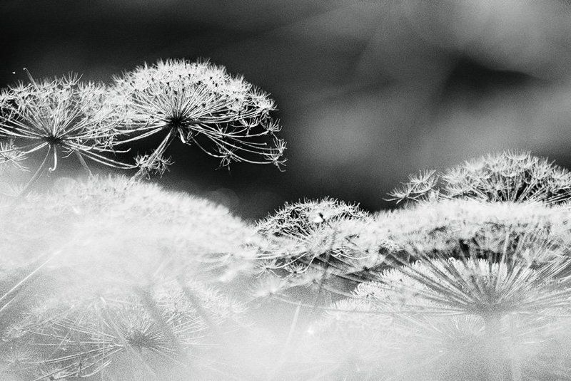 осень  фото превью