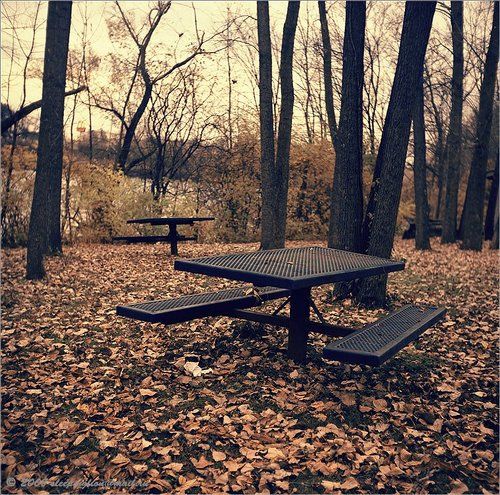 Last day of autumn.....