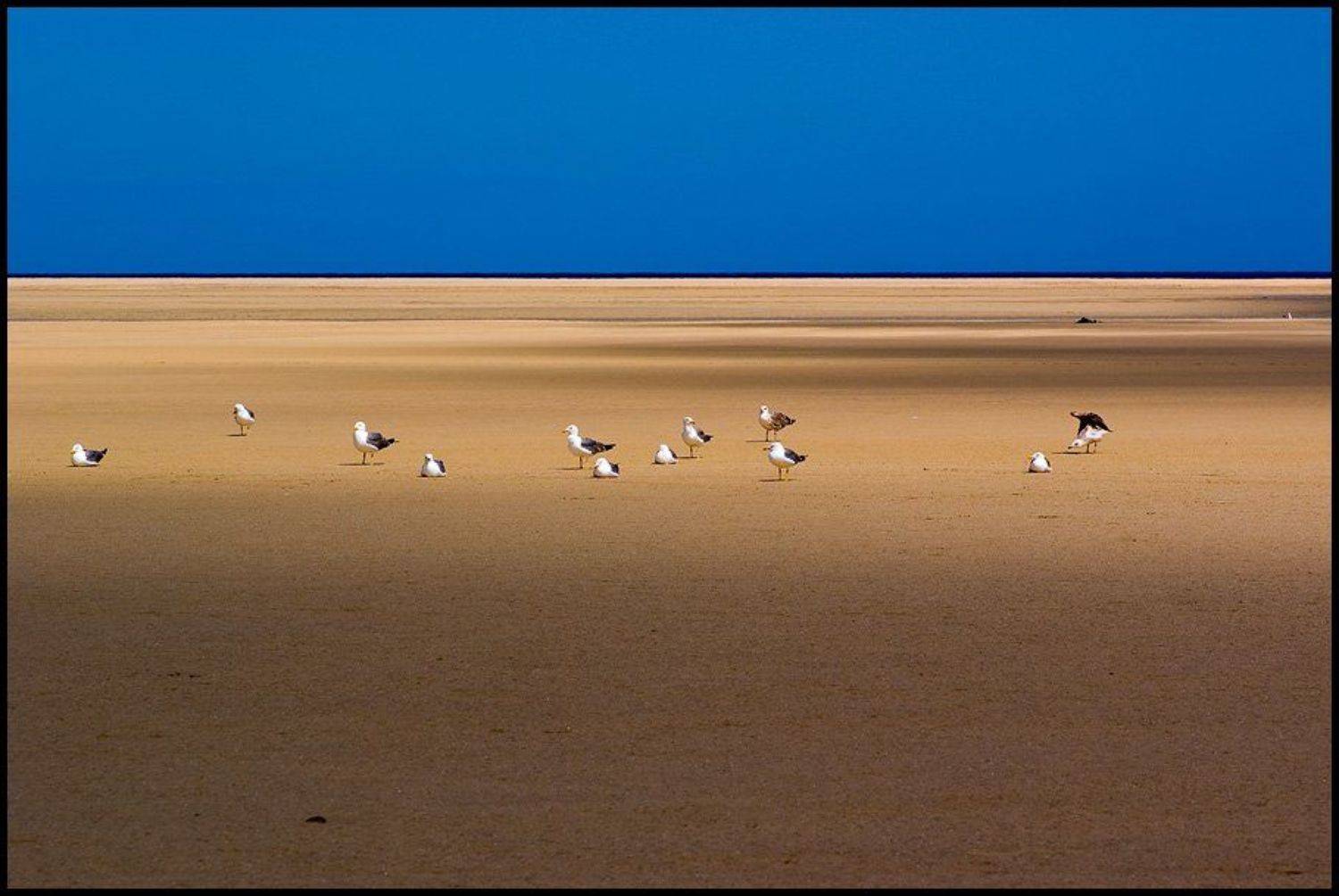 испания,канарские острова,фуэртевентура,пляж сотавенто, Александр Константинов