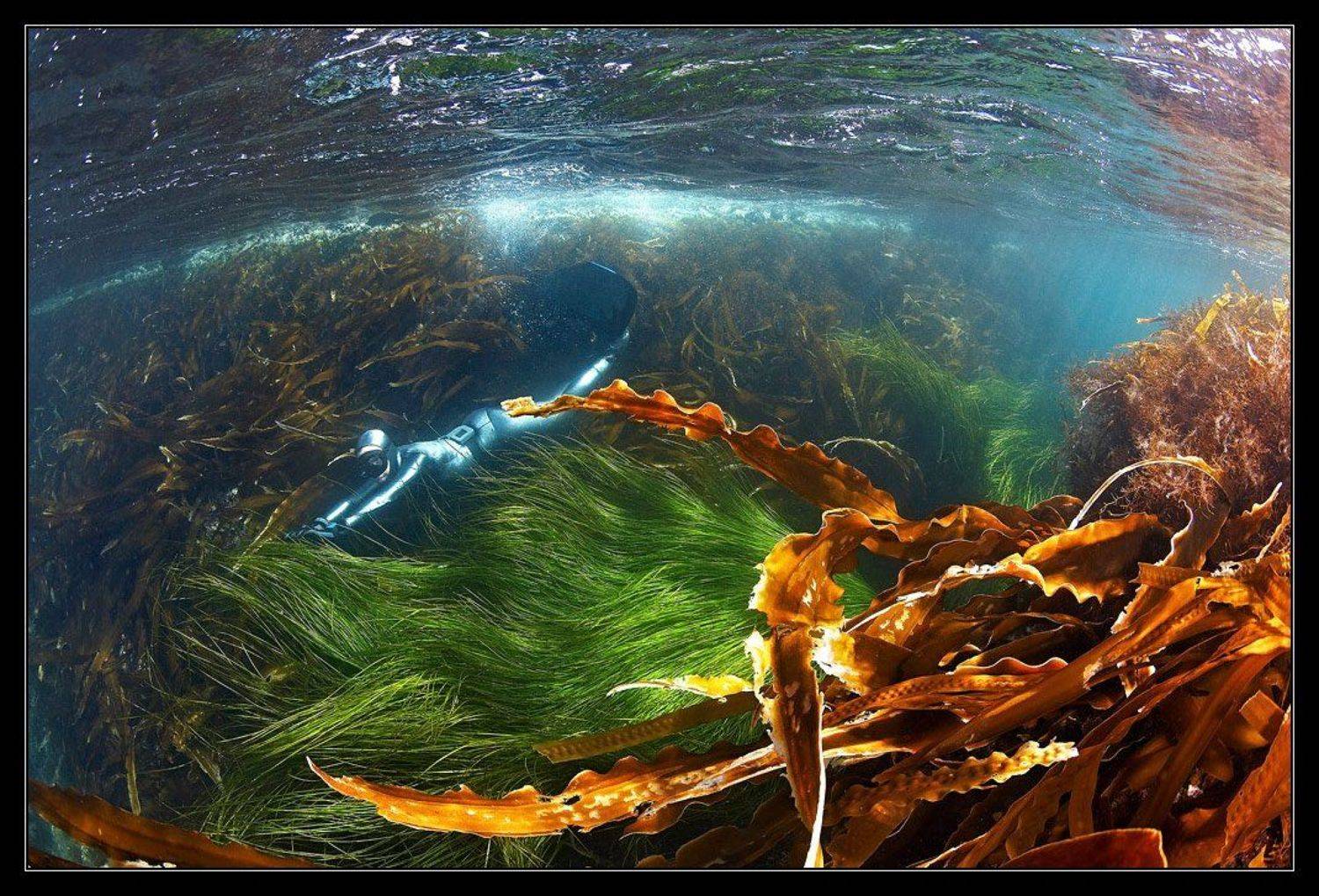 , Марина Кочетова