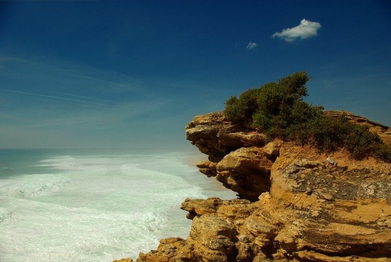 Monster cliff фото превью