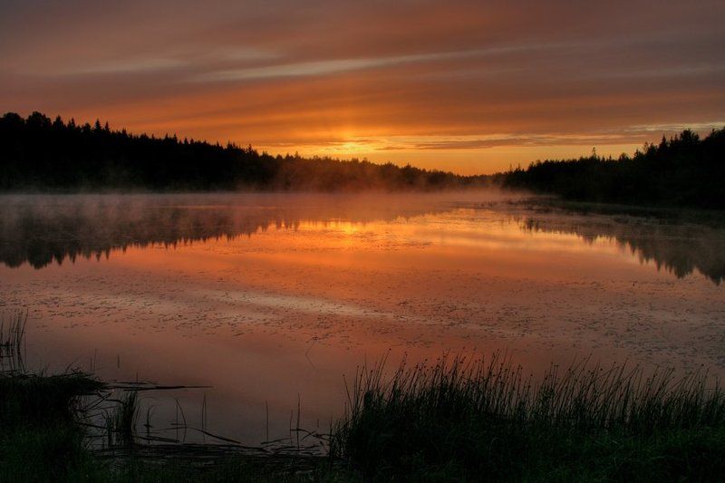 Утро каждое утро фото превью