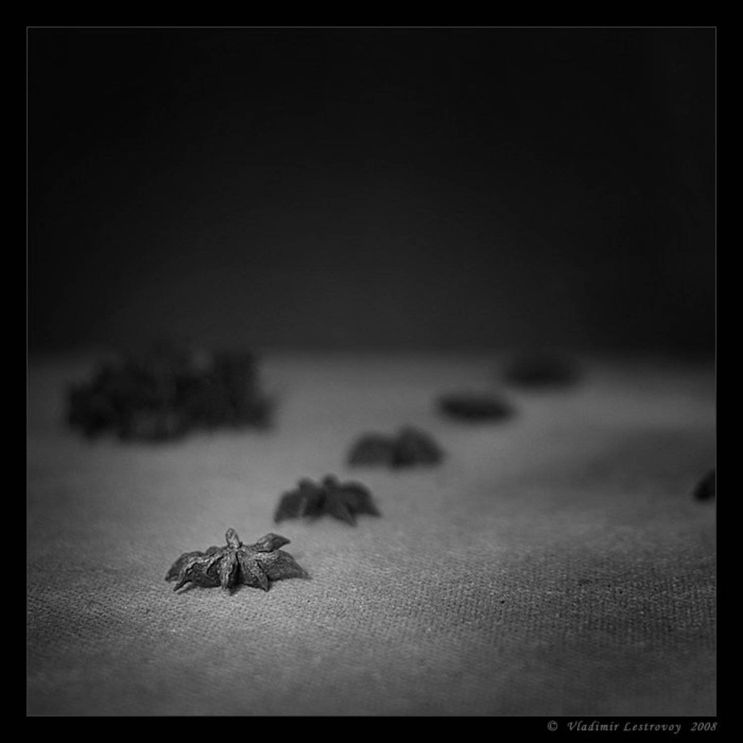 , Владимир Лестровой