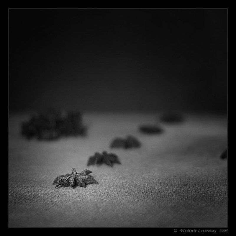 One of Us фото превью