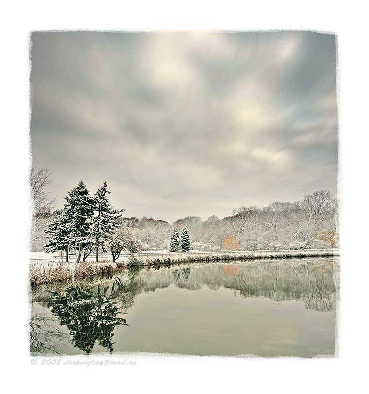 Цвет зимы... фото превью