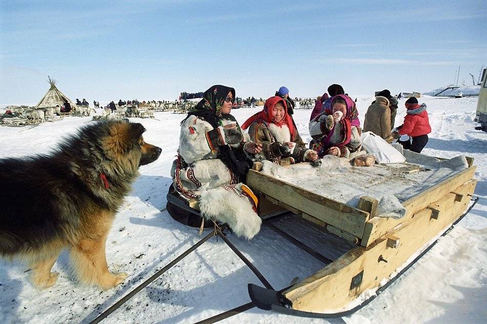 быт, ненцы, жизнь на краю земли, север, жанр, Danil Husainov