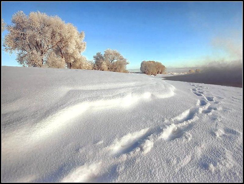 У реки... фото превью