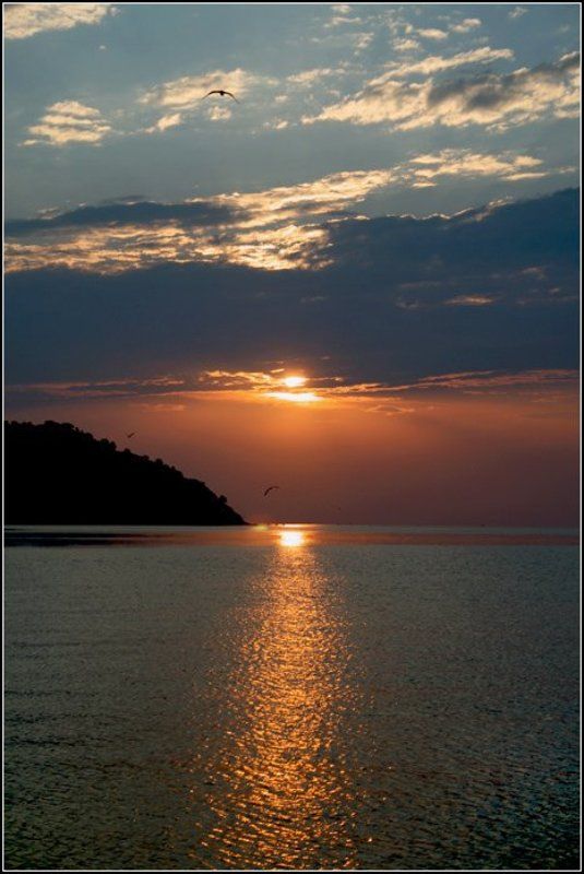 *** фото превью