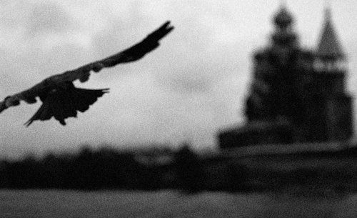 Махнув одним крылом