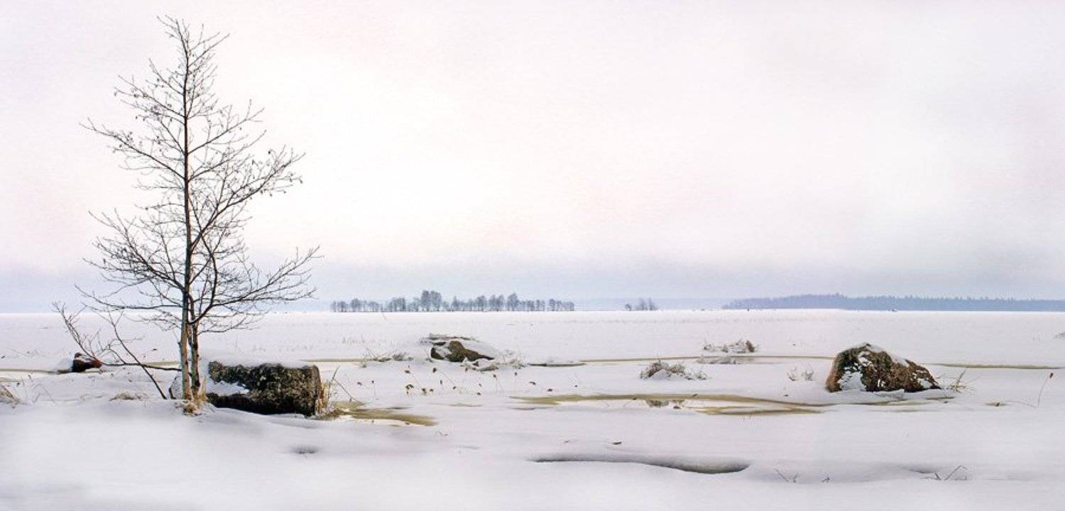 дерево, снег, Юлия