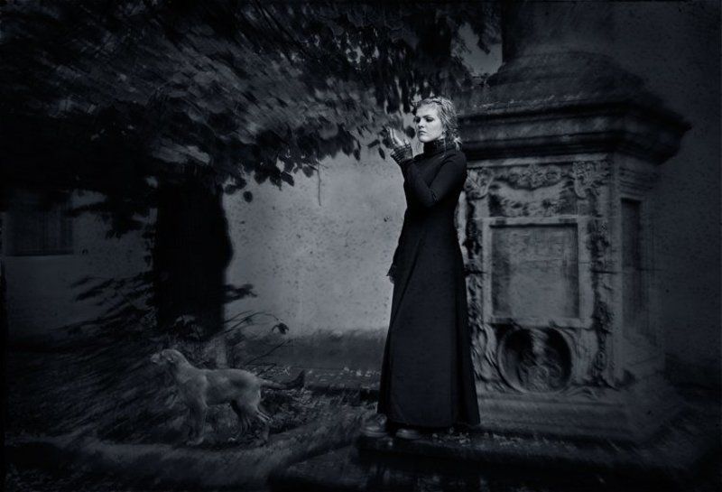 Silent Dreams фото превью