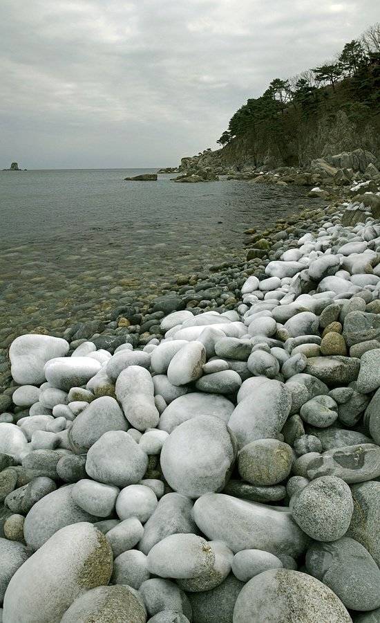 гамова, витязь, бухта, море, Дмитрий Корнилов