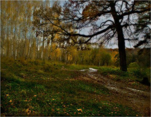 ПАЛИТРА ОСЕНИ