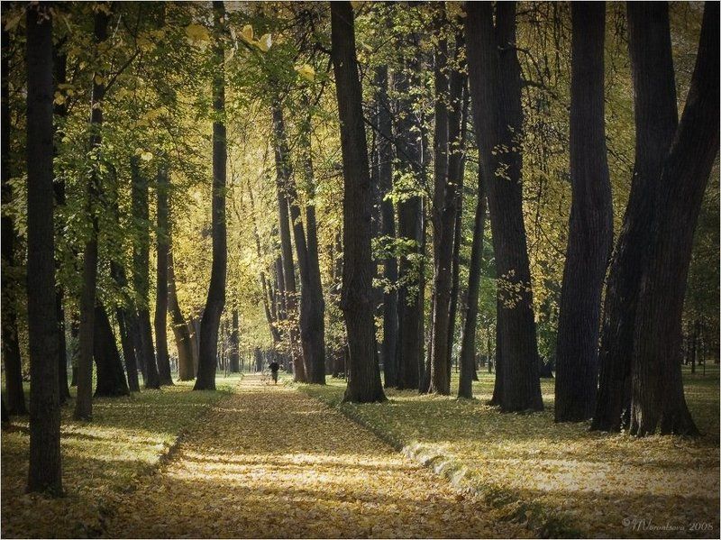 Осенние мотивы фото превью