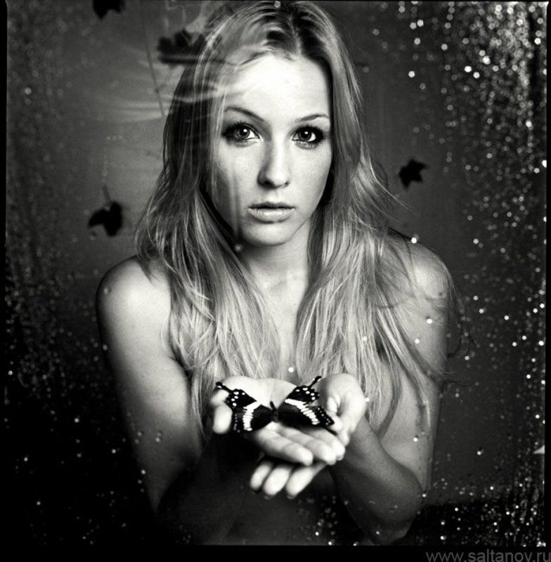 Бабочка умирает в понедельник. фото превью