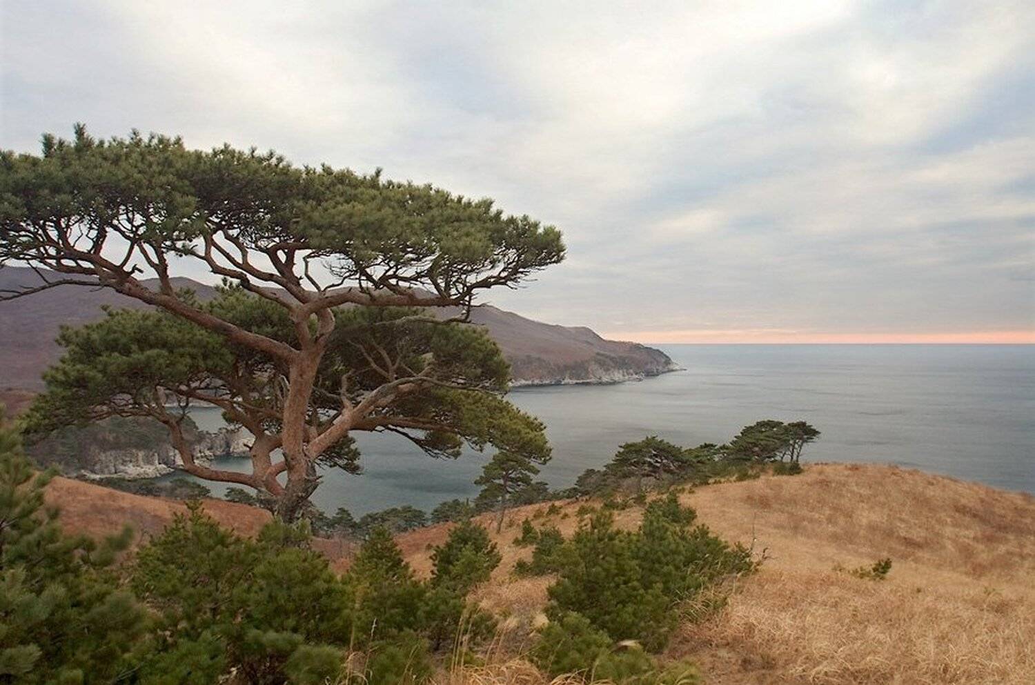 приморье, п-ов гамова, Sir Fisher