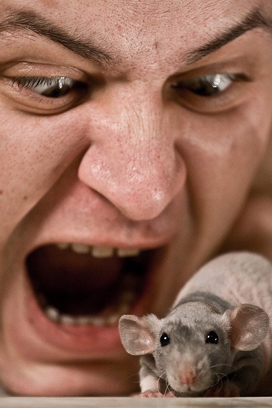 А-р-р-р фото превью