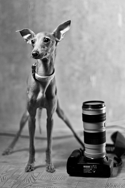 Чем не штатив? фото превью