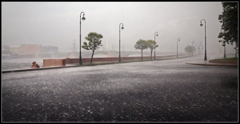 Одинокий Лев в плачущем городе... фото превью