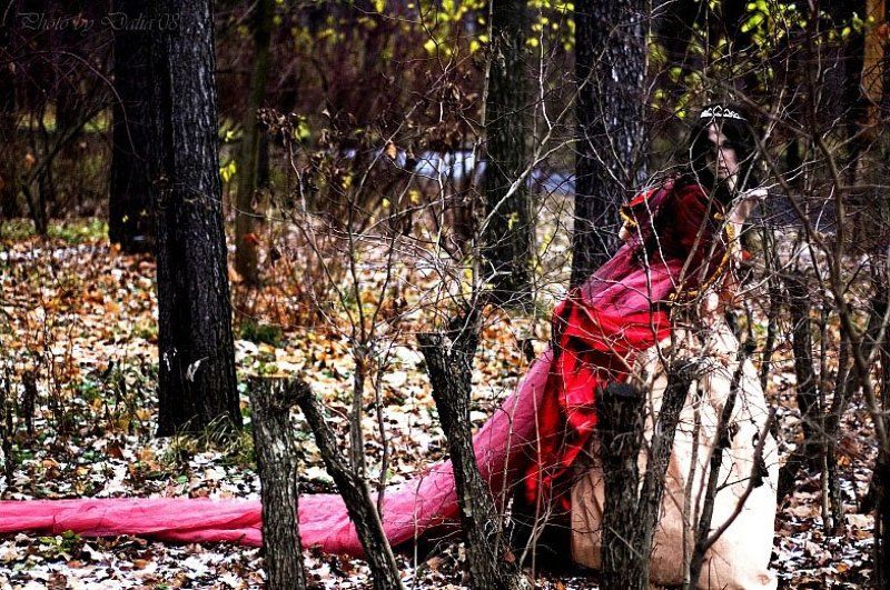 принцесса, кусты, бег, испуг Убегая от себя фото превью