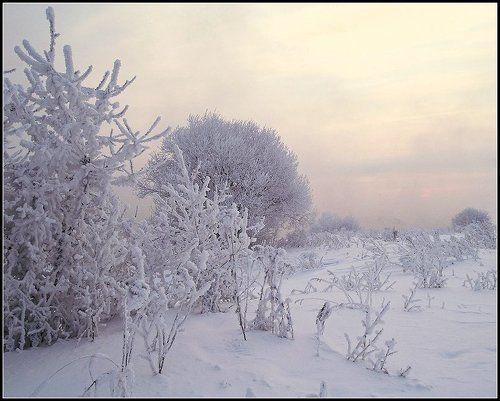 Утренняя..