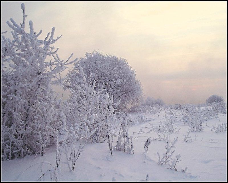 Утренняя.. фото превью