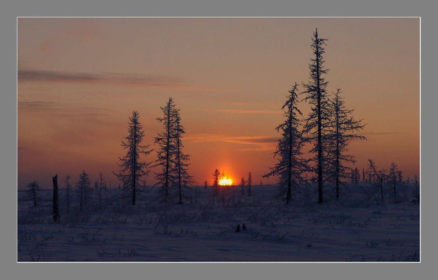 , Евгений Никулин