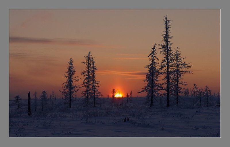 Скоро полярная ночь.... фото превью