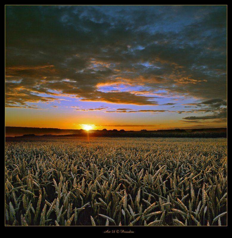 закат, пшеница, дорога, облака, Виктор Перякин