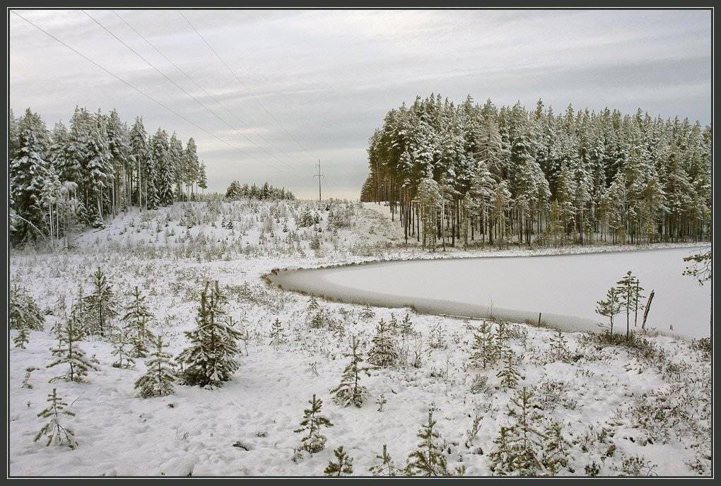 , Зайцев Владимир