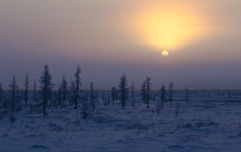 Тундра, полдень фото превью