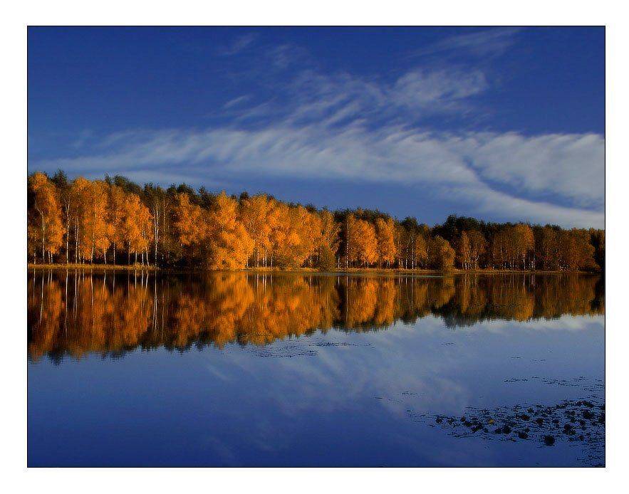 , Владимир Скляров