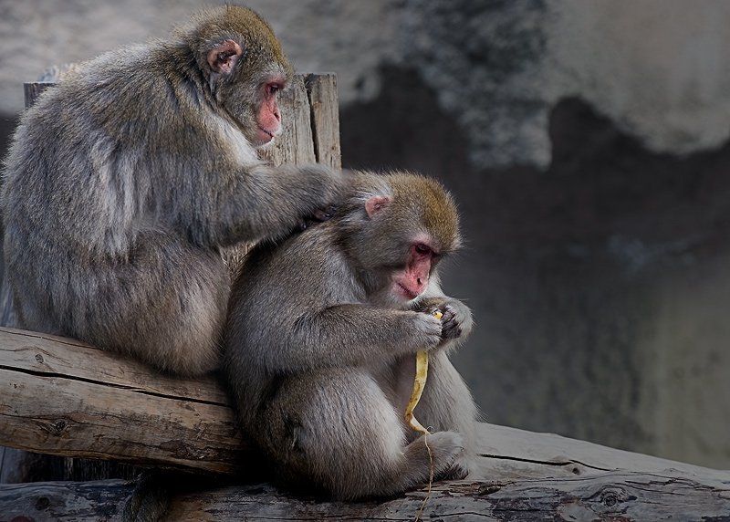 Дела... фото превью