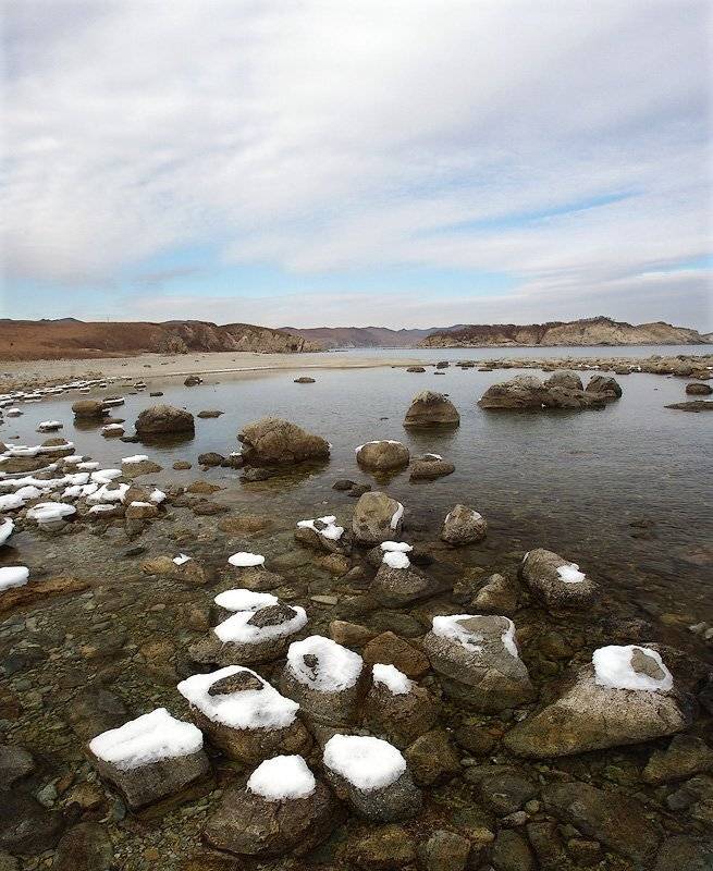 приморье, п-ов гамова, Sir Fisher